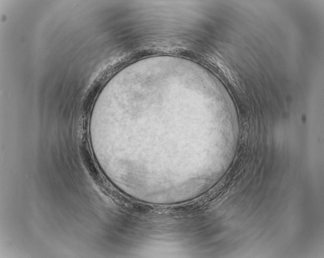 X0000088220736200706121829