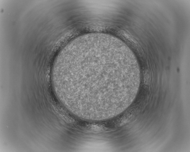 X0000088220737200706121829