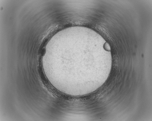 X0000088220738200706121829