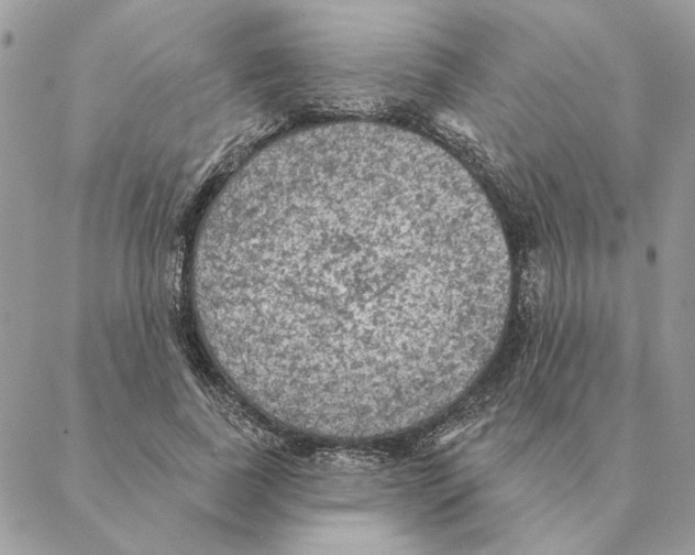 X0000088220739200706121829