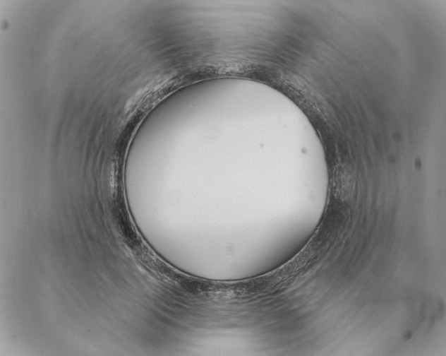 X0000088220740200706121829