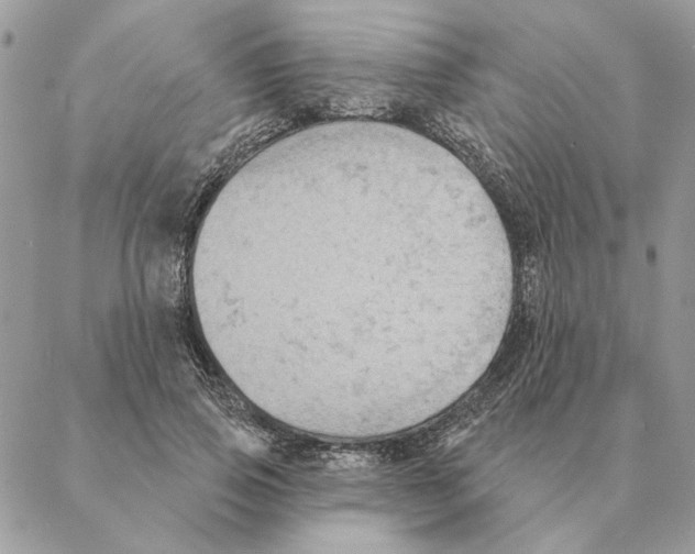 X0000088220741200706121830