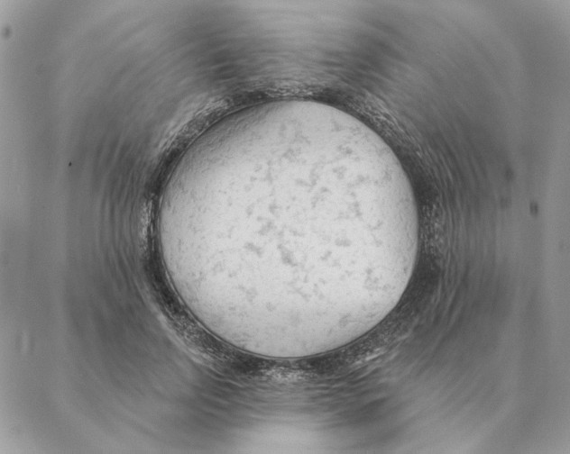 X0000088220742200706121830