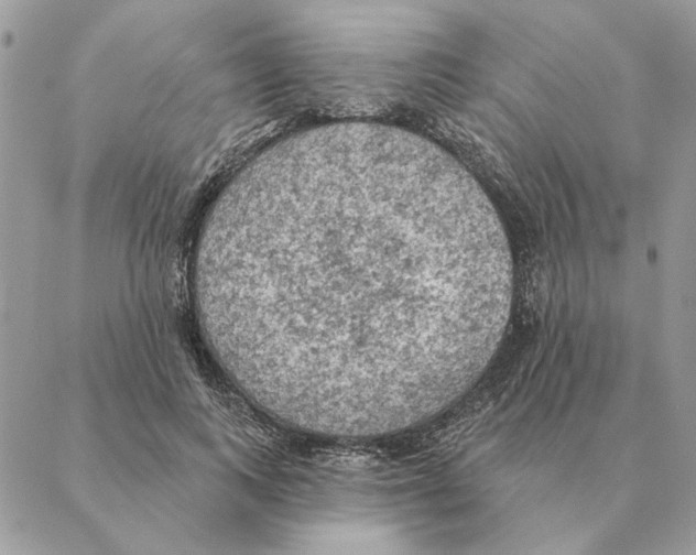 X0000088220743200706121830