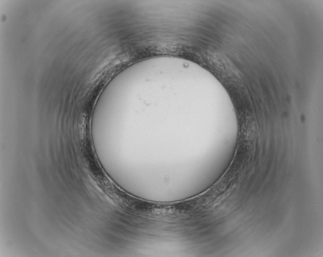 X0000088220744200706121830