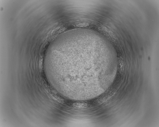 X0000088220745200706121830