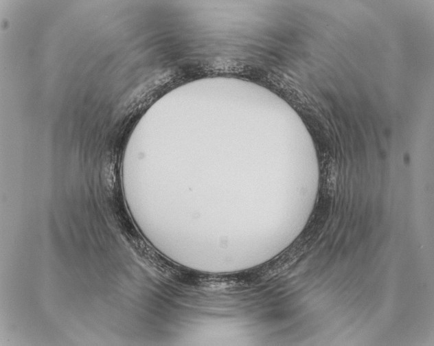 X0000088220746200706121830