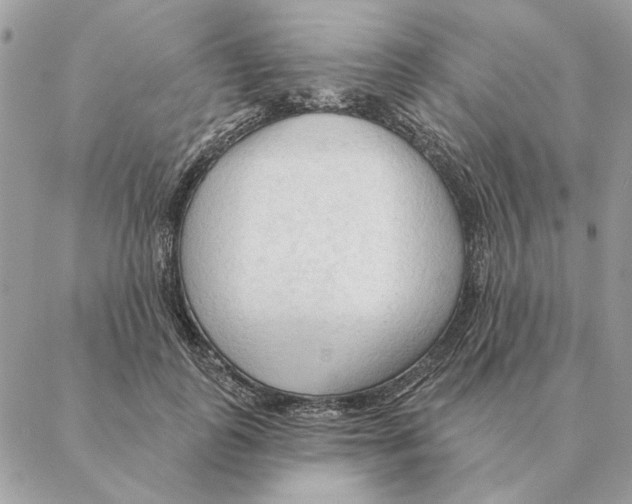 X0000088220747200706121830