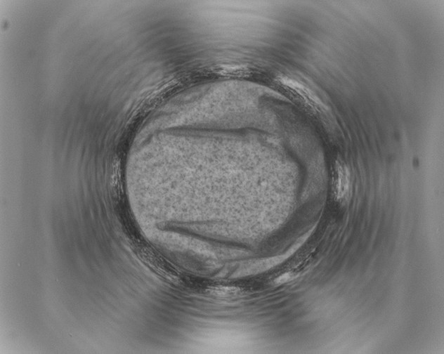 X0000088220748200706121830