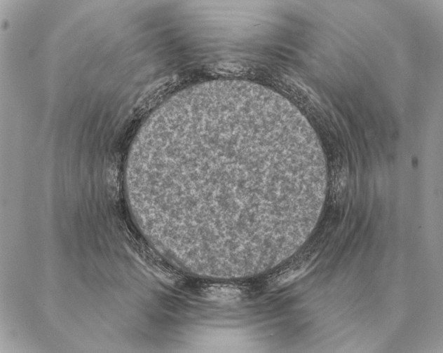 X0000088220749200706121830