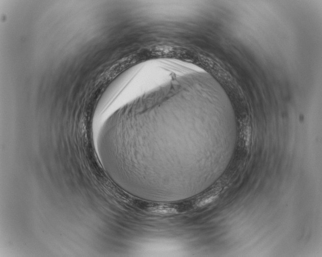 X0000088220754200706121830