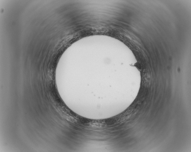 X0000088220756200706121830