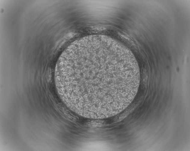 X0000088220758200706121830