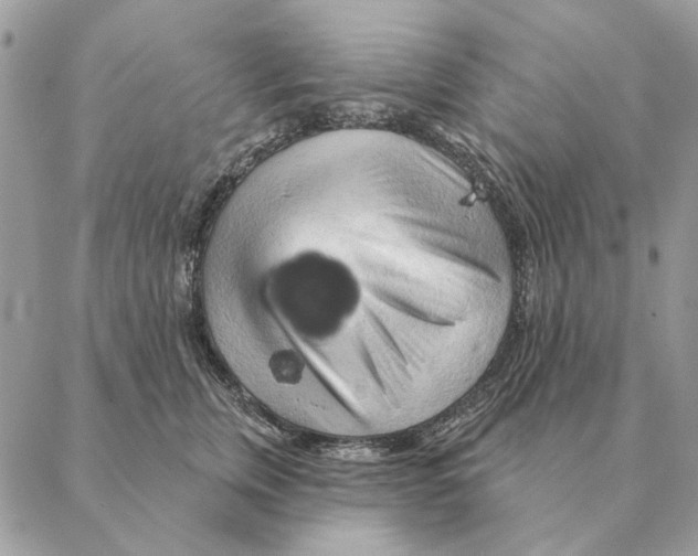 X0000088220759200706121830