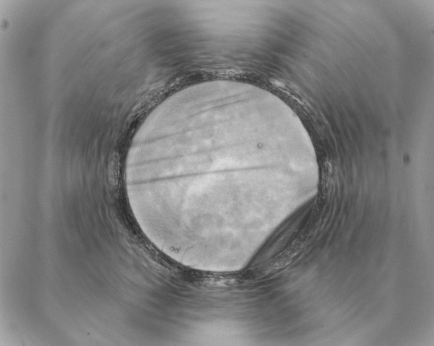 X0000088220760200706121830