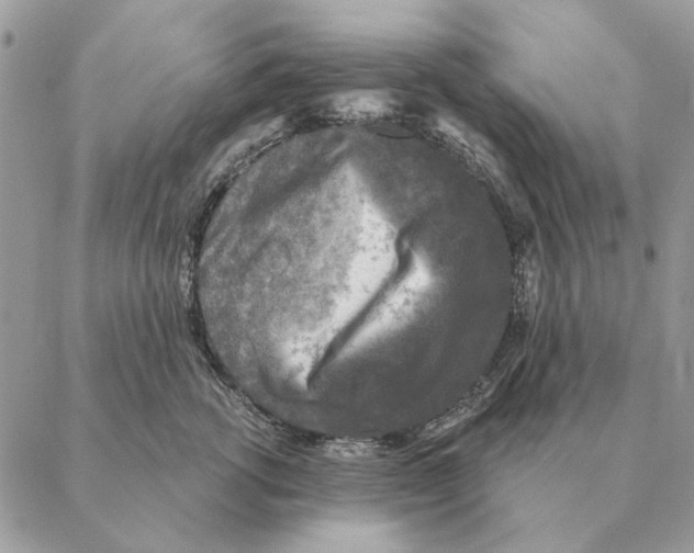 X0000088220762200706121830