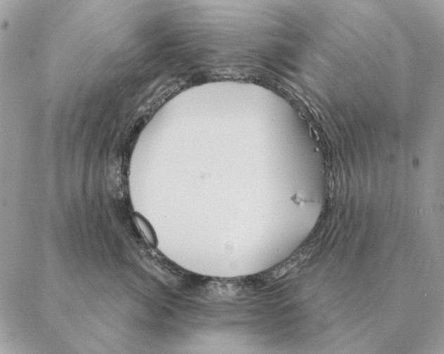 X0000088220764200706121830