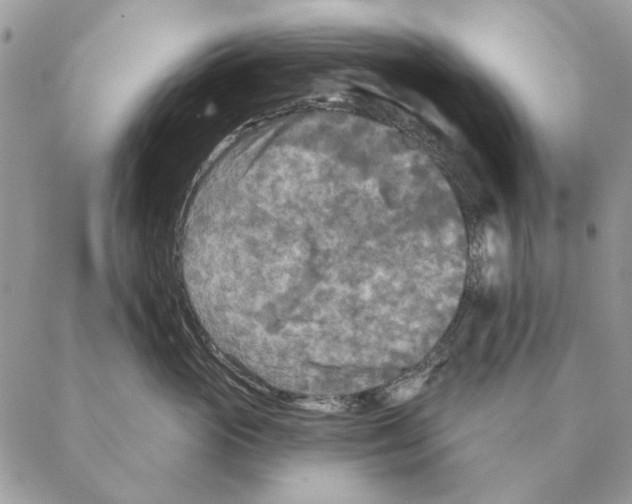 X0000088220765200706121830