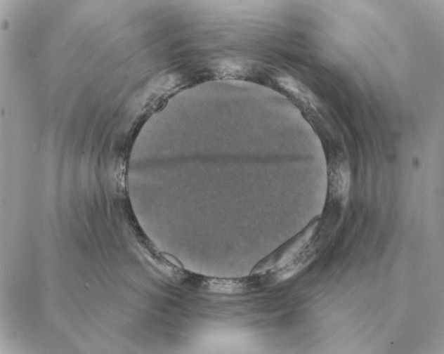 X0000088220766200706121830