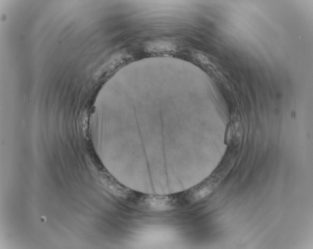 X0000088220767200706121830