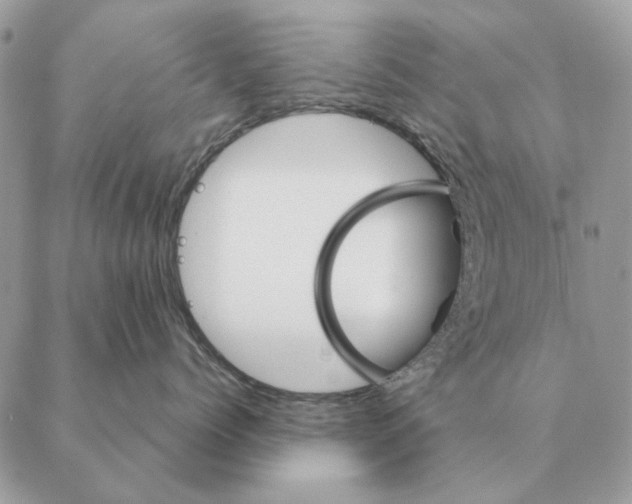 X0000088220768200706121830