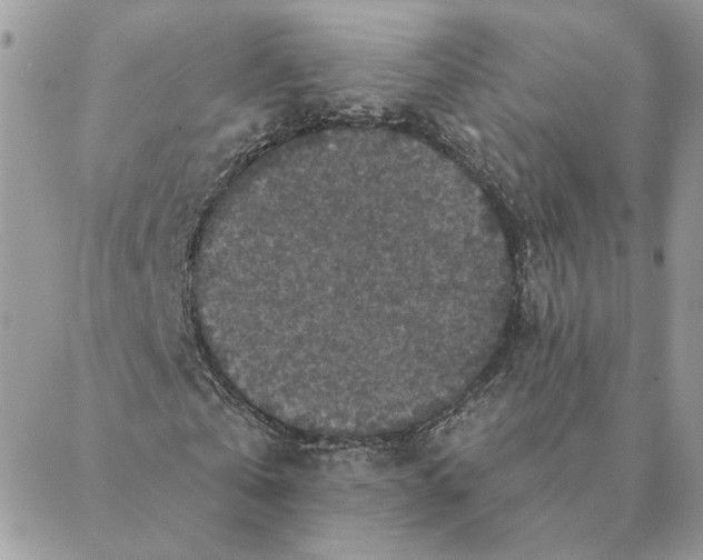 X0000088220769200706121829