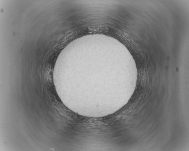 X0000088220770200706121829