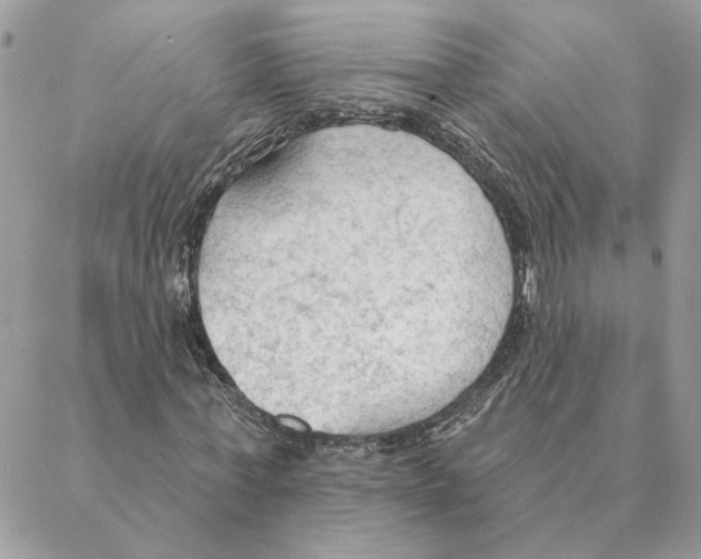 X0000088220771200706121829