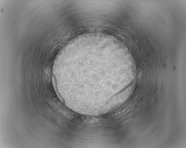 X0000088220772200706121829