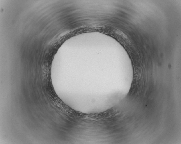 X0000088220773200706121829