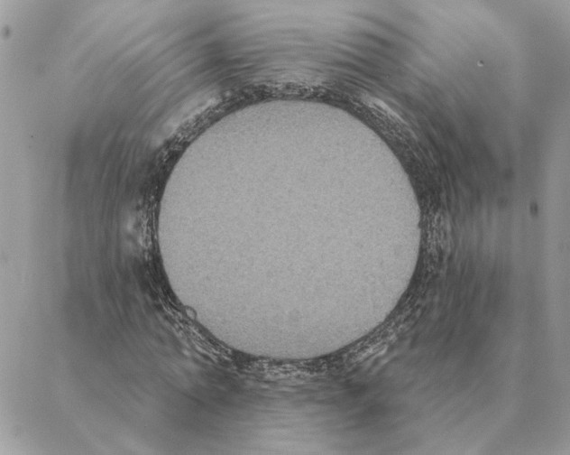 X0000088220774200706121829