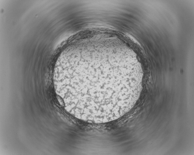 X0000088220775200706121829