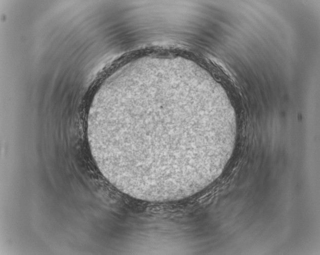 X0000088220776200706121829