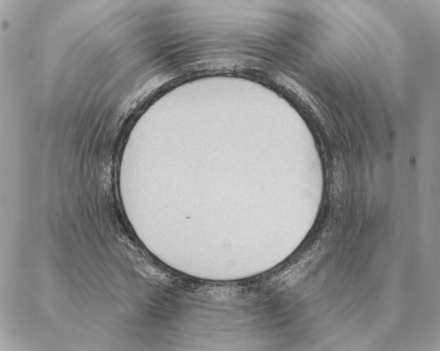 X0000088220778200706121829