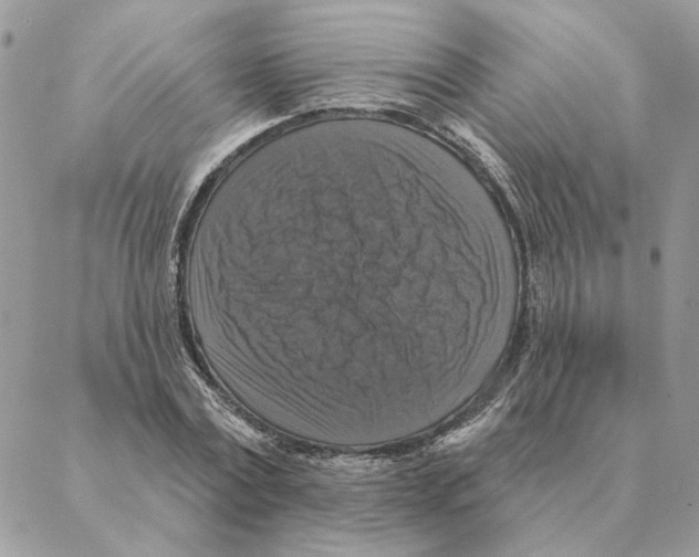 X0000088220779200706121829