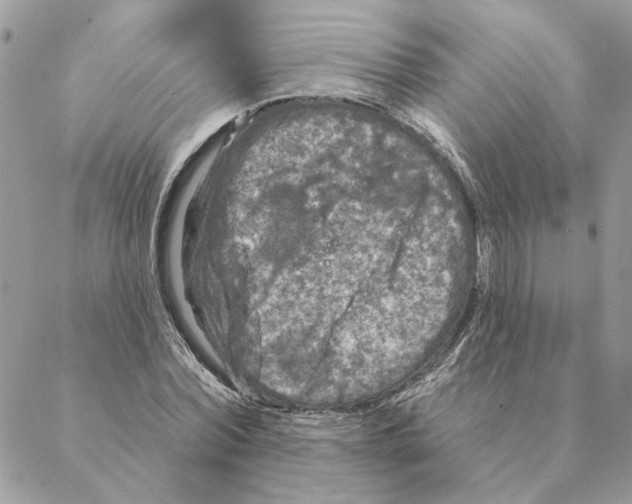 X0000088220780200706121829