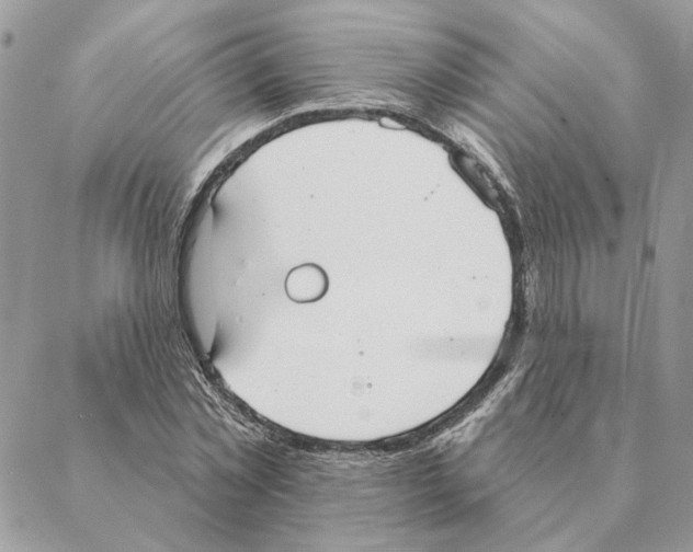 X0000088220781200706121829