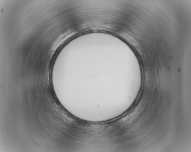 X0000088220782200706121829