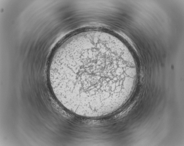 X0000088220783200706121829