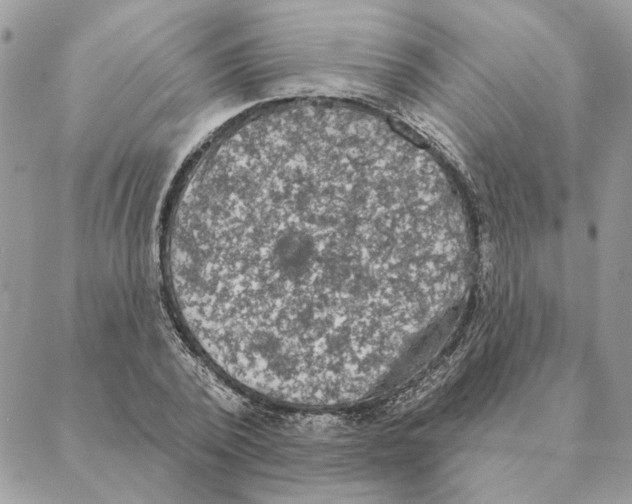 X0000088220784200706121829