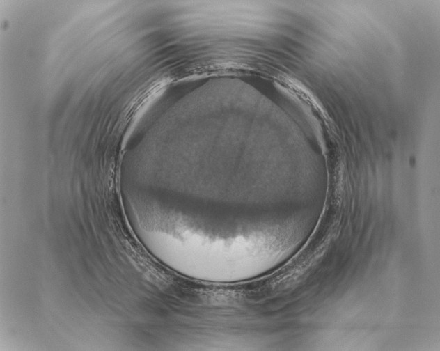 X0000088220785200706121829