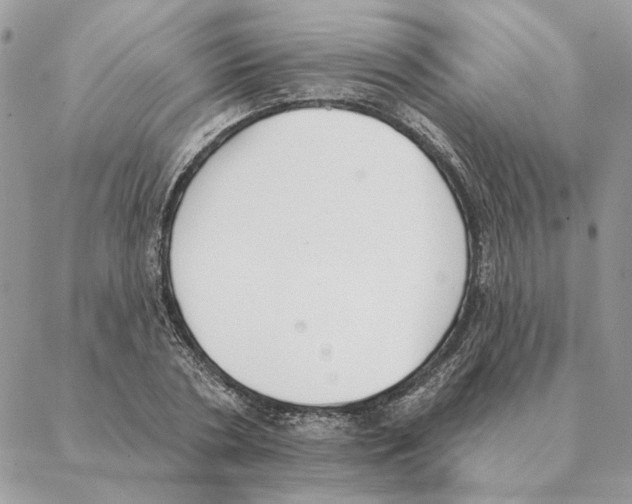 X0000088220786200706121829