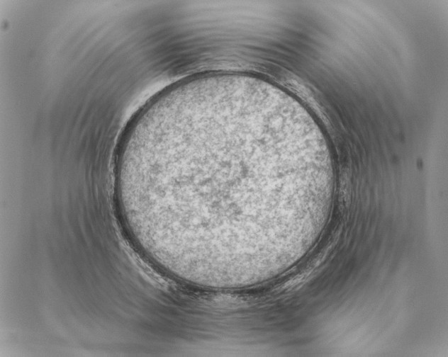 X0000088220787200706121829