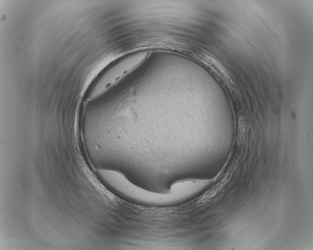 X0000088220788200706121829