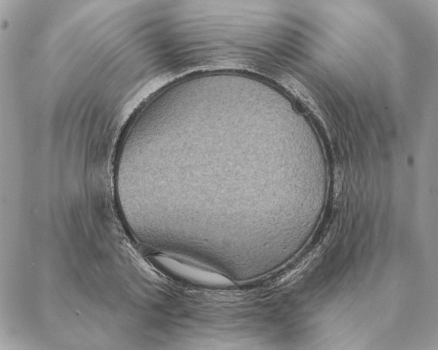 X0000088220789200706121829