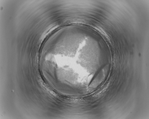 X0000088220790200706121829