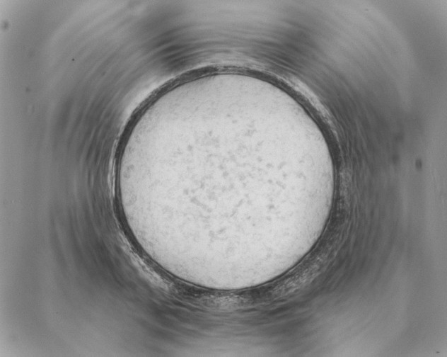 X0000088220791200706121829