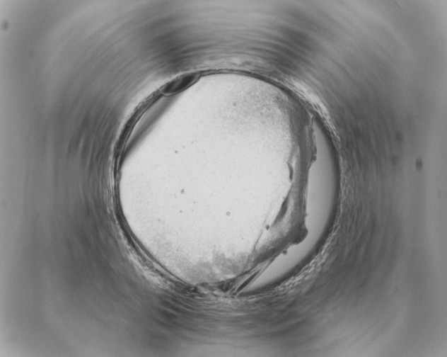 X0000088220792200706121829