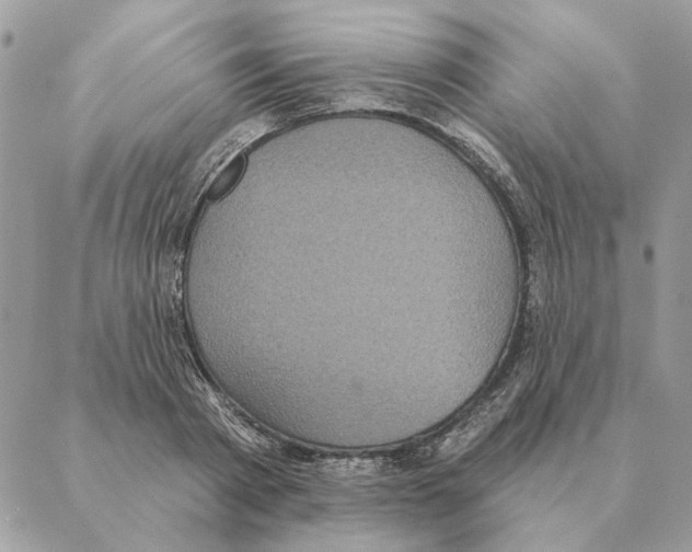 X0000088220793200706121829