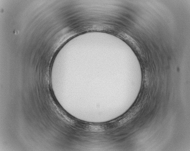 X0000088220794200706121829